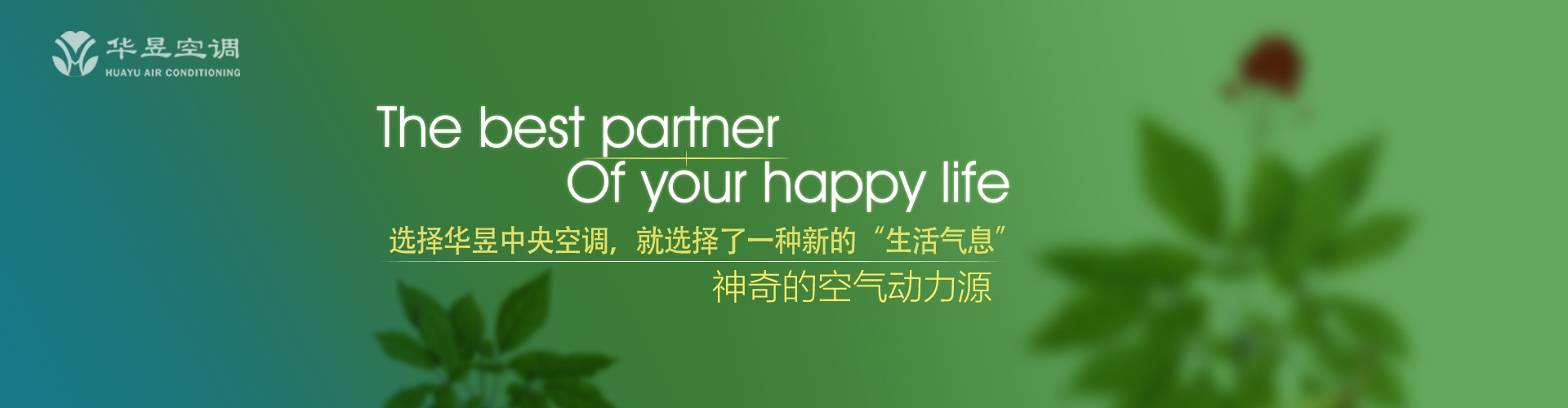 喜逐颜开网